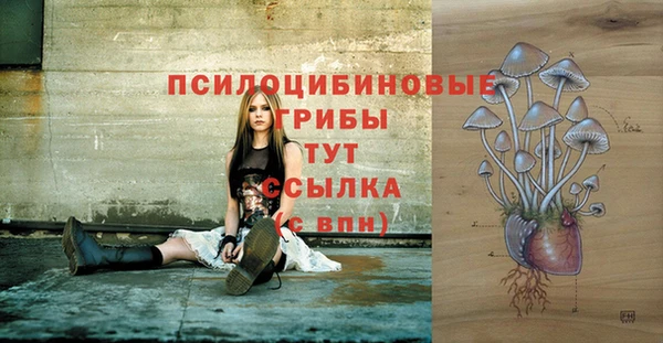 гашиш Осинники