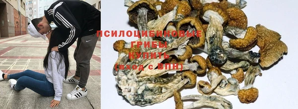 гидропоника Осташков